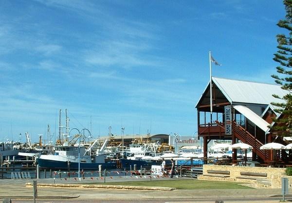 Fishing Boat Harbour in Freo