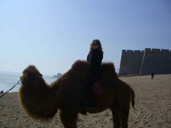 On the Camel at the Great Wall!