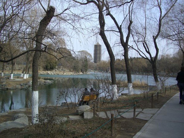 The Pagoda on Campus and Weiming Lake