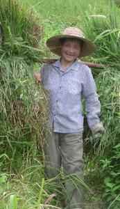 Grass Granny in Nanling