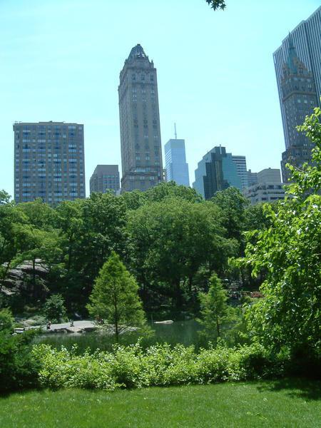 Central Park 3