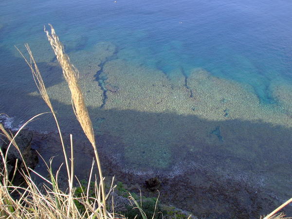 Maeda Reef