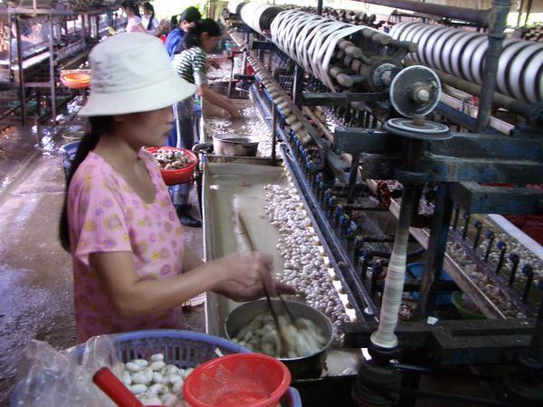 Woman working in the silk factory