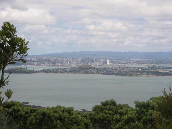 The view from the top of Rangitoto
