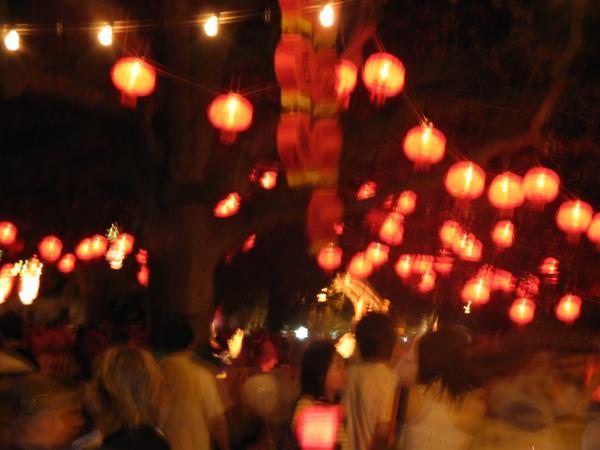 Chinese lanterns at the Domain