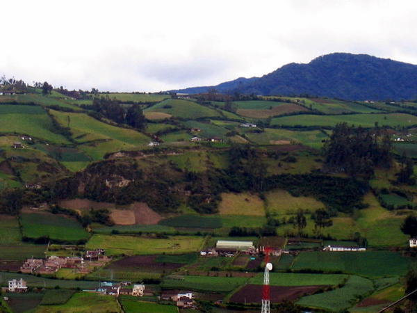 colombian farmland