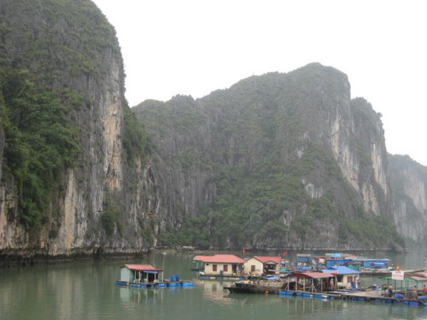 Floating Village, Halong Bay