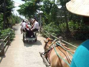 Horse and cart Mekong tour