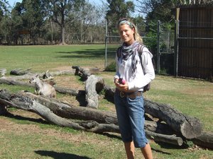 Jeni at Lone Pine Koala Sanctuary