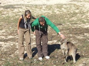 Jeni and Rich with wild roos