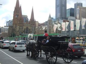 Horse & Cart, Melbourne