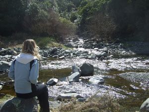 Geraldine Campsite