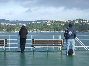Wellington - Picton Ferry