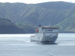 Wellington - Picton Ferry