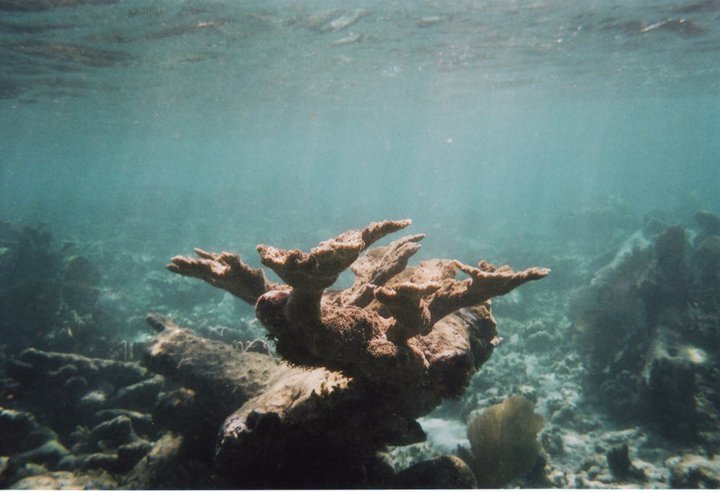 underwater in Cancun 9