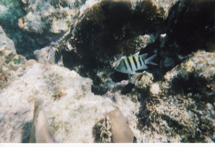 underwater in Cancun 15