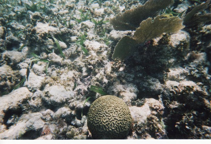 underwater in Cancun 16