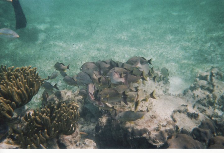 underwater in Cancun 17