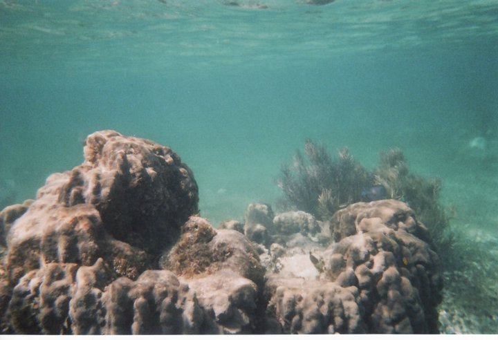 underwater in Cancun 2