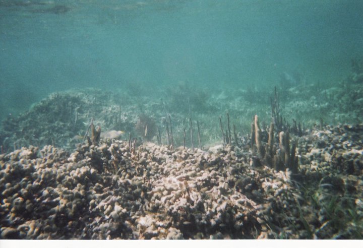 underwater in Cancun 4
