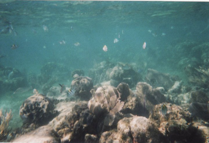 underwater in Cancun 12