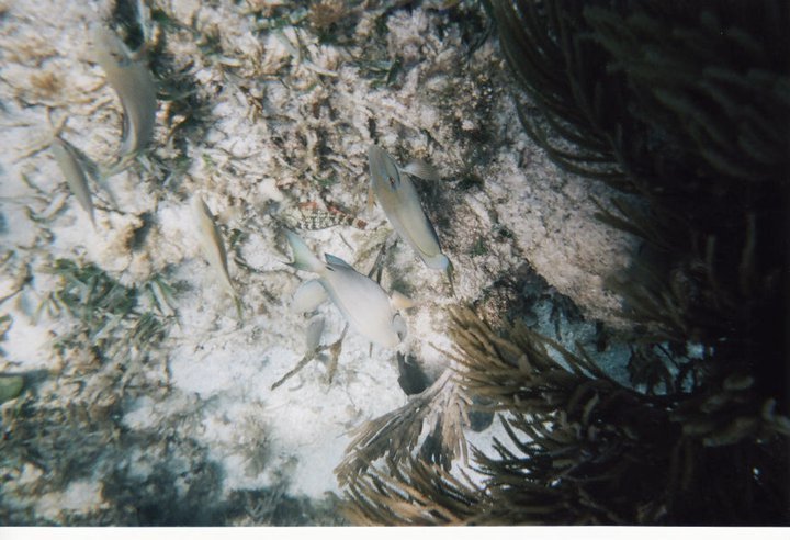 underwater in Cancun 13