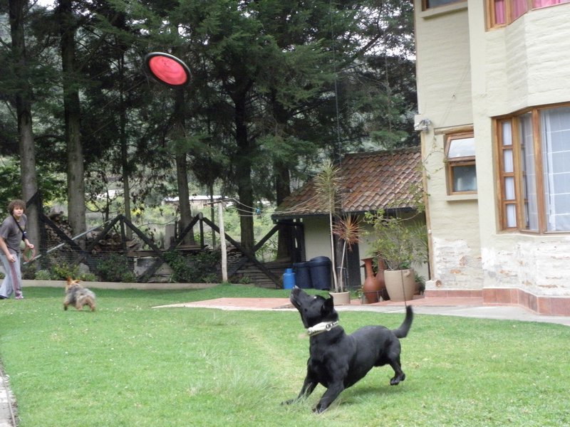 Super Spook with his frisbee and the lovely Steph, our goodbye to Quito