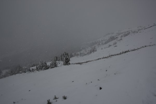 Parker Ridge, Snowstorm