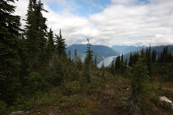 View from Mount Revelstoke