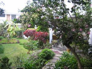 Hostel in Trujillo - beautiful garden!