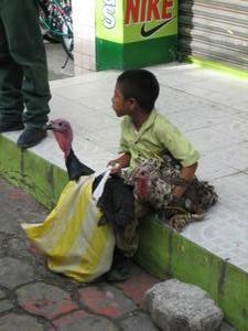 Boy and chickens waiting for the bus, Honduras