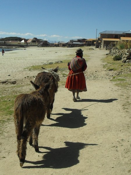 local lady and donkeys isla del sol