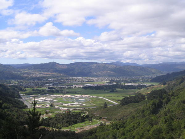 View Of Wellington