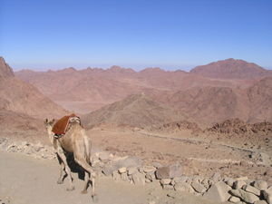 Walking up Mt Sinai