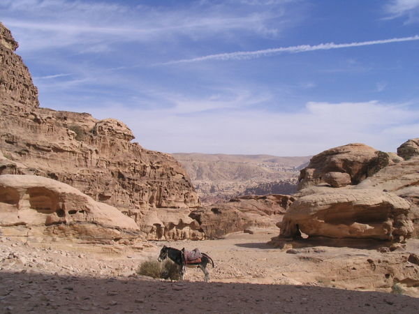 On a walk in Petra