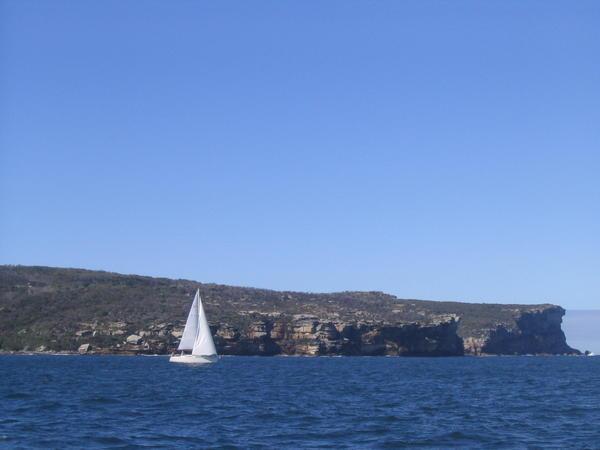 View From The Ferry Of Manly