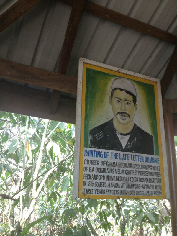 Founder of the Cocoa Farm