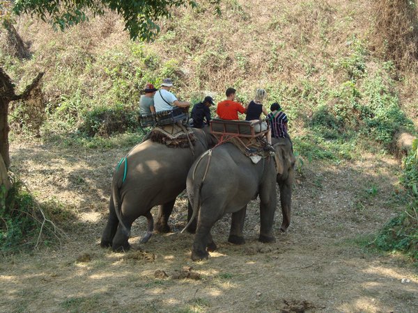 Elefanttur i Chiang Mai