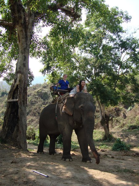 Elefanttur i Chiang Mai