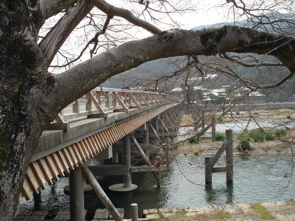 togetsu bridge in arashiyama