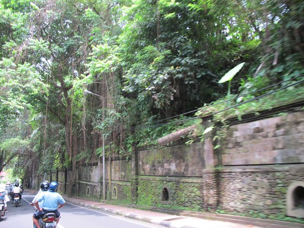 Road to Ubud