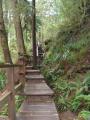 P1020757 - rainforest trail to Schooner cove