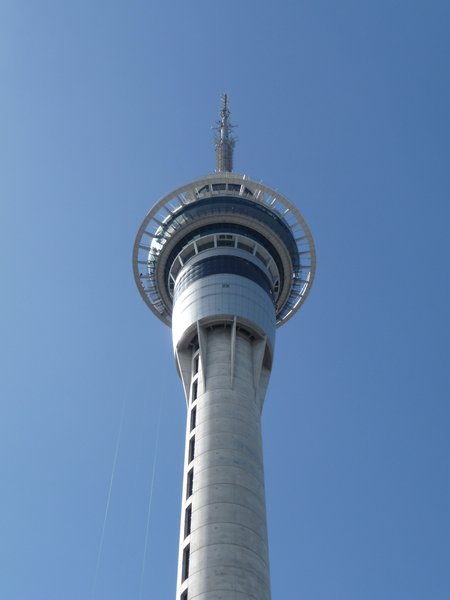 P1020897 - Auckland sky tower