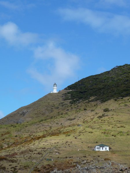 P1030035 - cape brett lighthouse