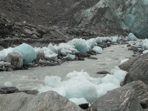 P1030686 - Franz Joseph Glacier