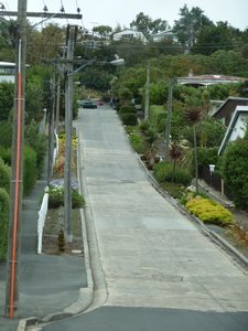P1030840 - steepest street, Dunedin