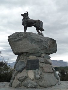 P1030911 - Border collie statue, Lake Tekapo