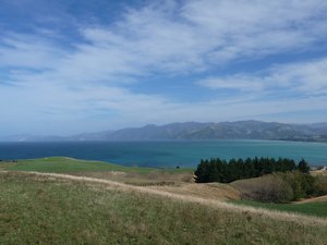 P1030919 - Kaikoura lookout