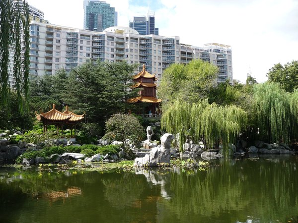 P1040051 - Chinese gardens