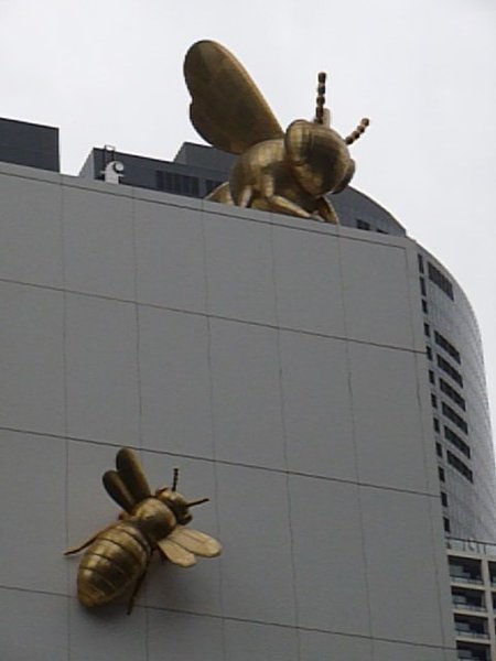 P1040167 - bugs on building, Melbourne